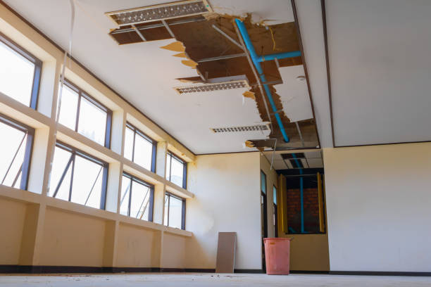 Best Commercial water damage restoration  in Spring Valley, CA