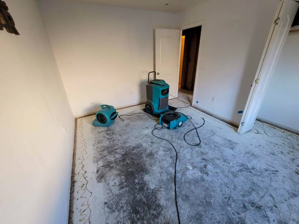 Best Professional water damage repair  in Spring Valley, CA