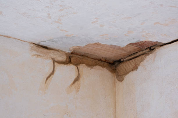 Best Residential water damage restoration  in Spring Valley, CA
