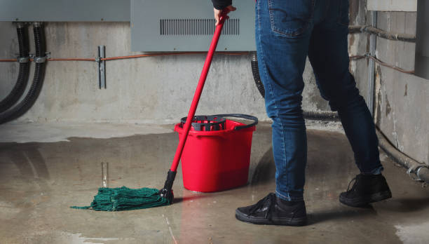 Best Professional water damage repair  in Spring Valley, CA