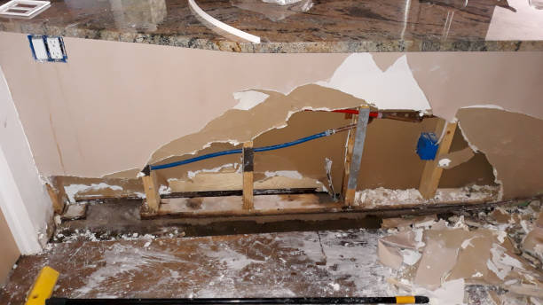 Best 24/7 water damage repair  in Spring Valley, CA