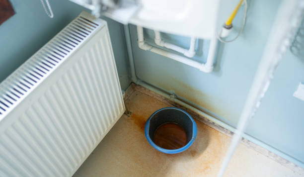 Best Carpet water damage restoration  in Spring Valley, CA