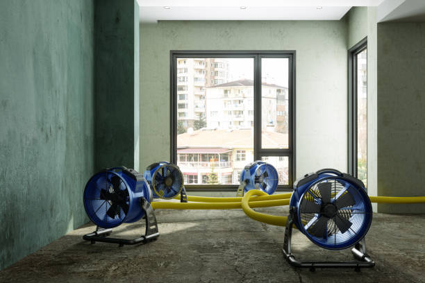 Best 24-hour water damage restoration  in Spring Valley, CA