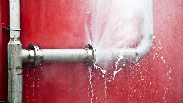 Best Flood restoration services  in Spring Valley, CA